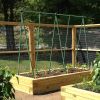 5/16" rod, 6 ft, 50 pcs Dark Green Solid Plant Support Pole, Gardening Fixture, Tomato and Cucumber Climbing Vine Support Stick